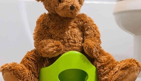 teddy bear sitting on training potty