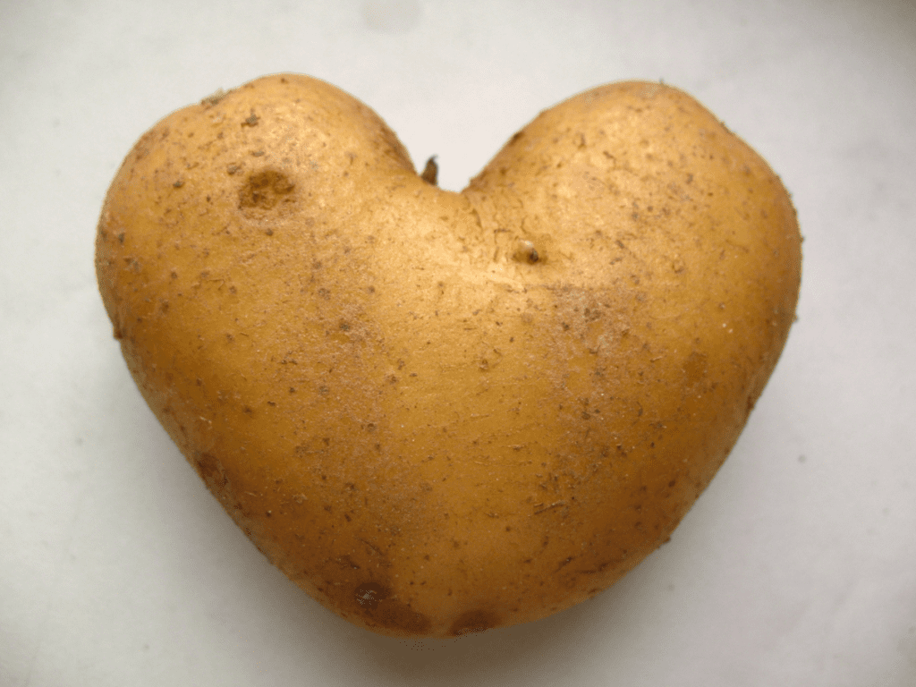 potato shaped like a heart