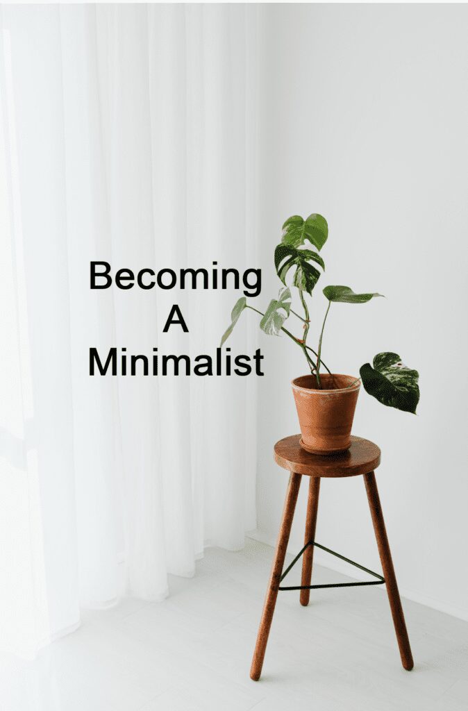 small end table with 1 plant in white room