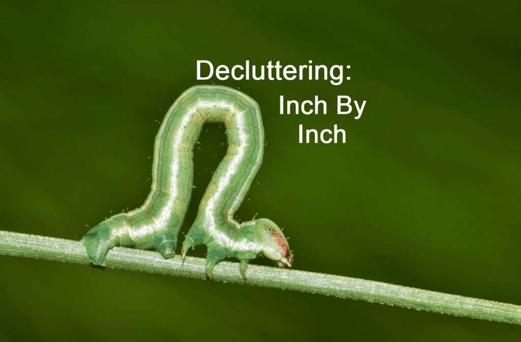 Inchworm moving along a twig with text that says Decluttering: Inch by inch
