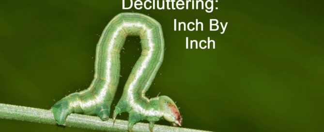 Inchworm moving along a twig with text that says Decluttering: Inch by inch