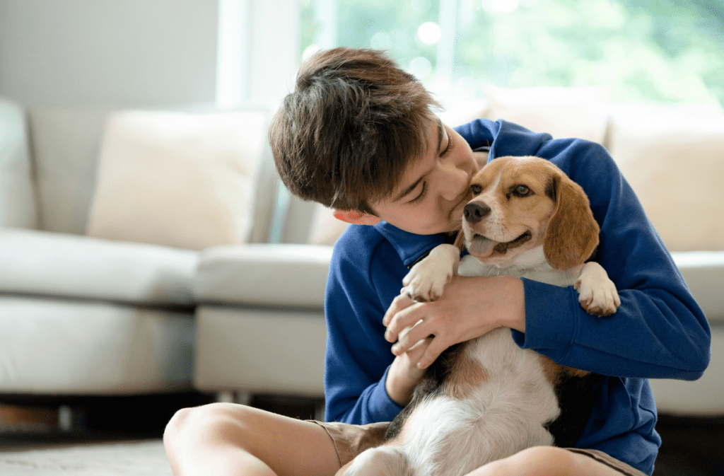 Boy sitting in his living room in front of the couch snuggling a cute beagle puppy