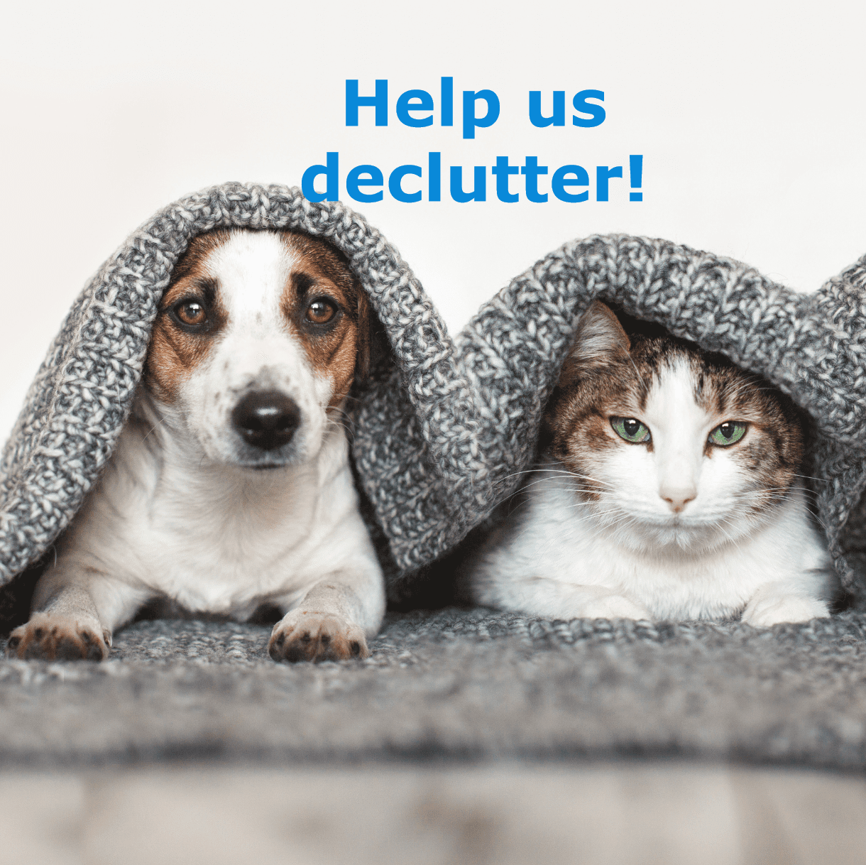 A dog and a cat are peeking out from under a blanket. The caption on the pictures says 'help us declutter!'