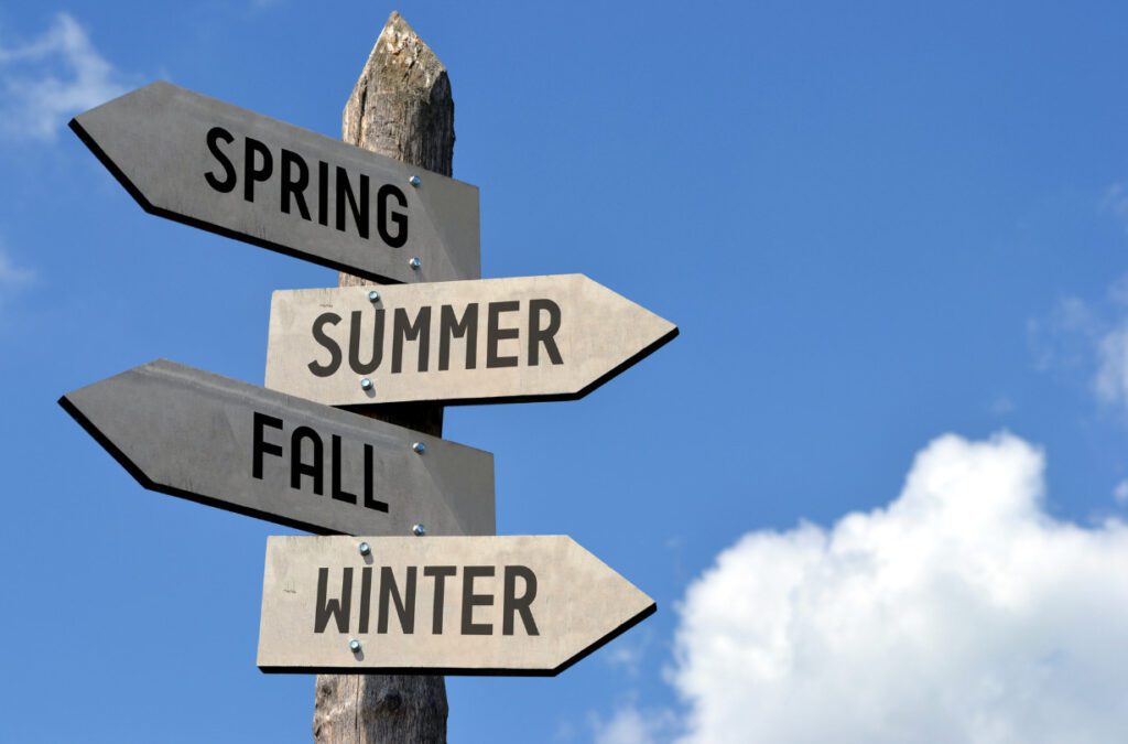 Sign post pointing to spring, summer, fall, and winter against a bright blue sky with a cloud